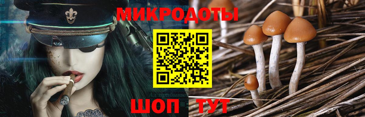 Галлюциногенные грибы мухоморы Лысьва