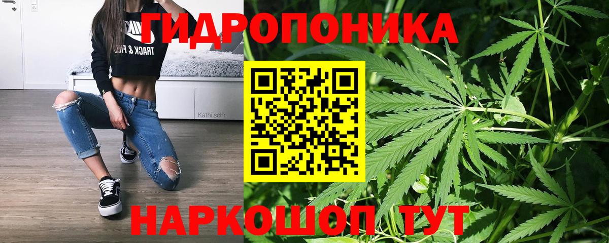 Канабис планчик Лысьва